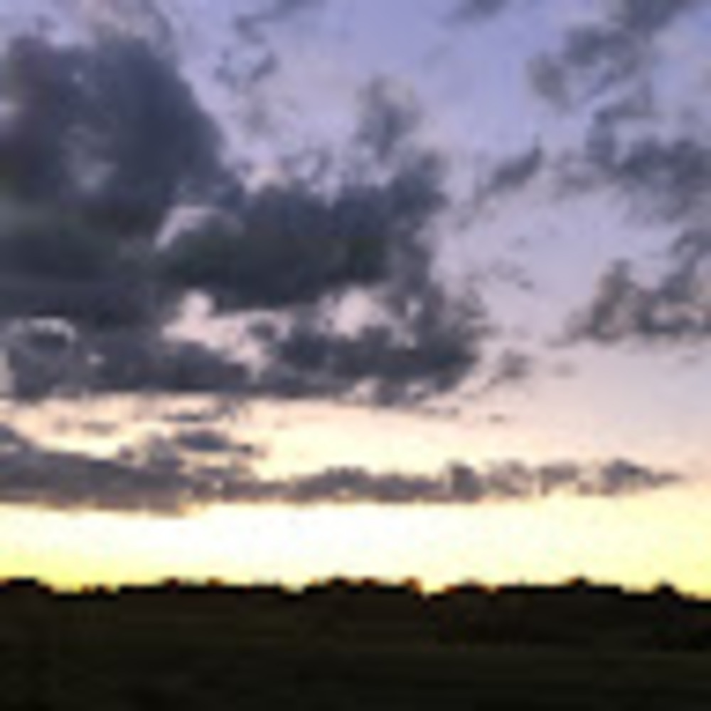 Meet your Posher, Ella